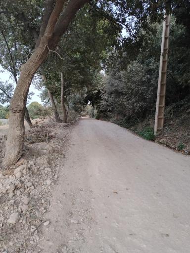 عکس بهشت گمشده