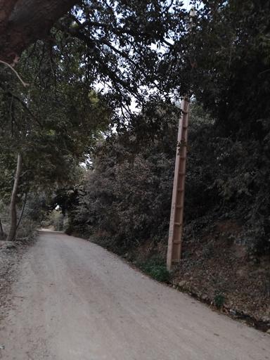 عکس بهشت گمشده