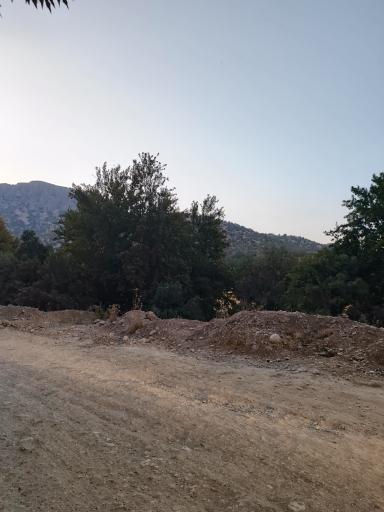 عکس بهشت گمشده