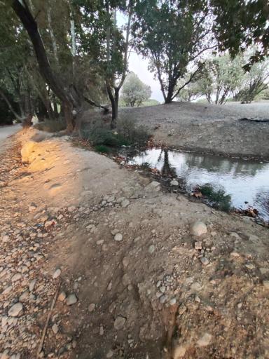 عکس بهشت گمشده