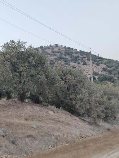 عکس بهشت گمشده