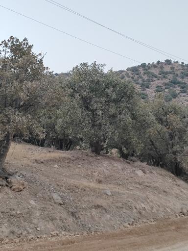 عکس بهشت گمشده