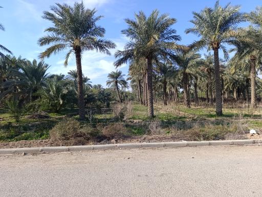 عکس خبینه سفلی