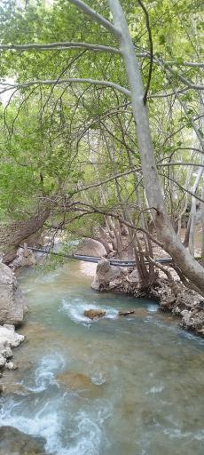 عکس بهشت گمشده