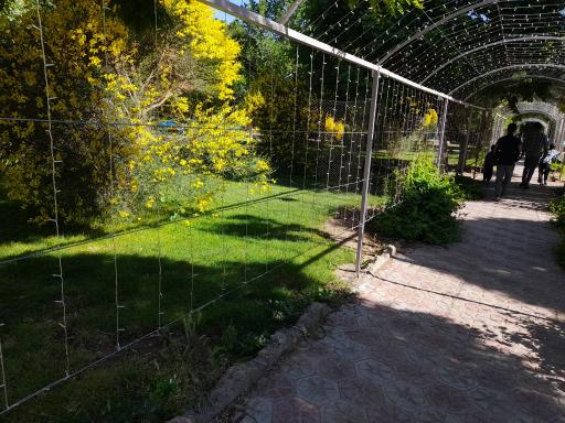 عکس پارک لاله شهر کهک