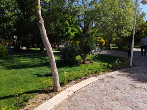 عکس پارک لاله شهر کهک