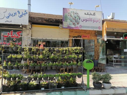 عکس گلخانه ژمینو کاکتوس