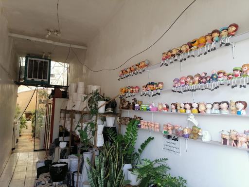 عکس گلخانه ژمینو کاکتوس