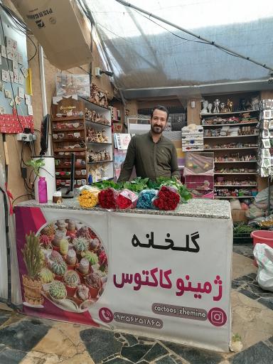 عکس گلخانه ژمینو کاکتوس