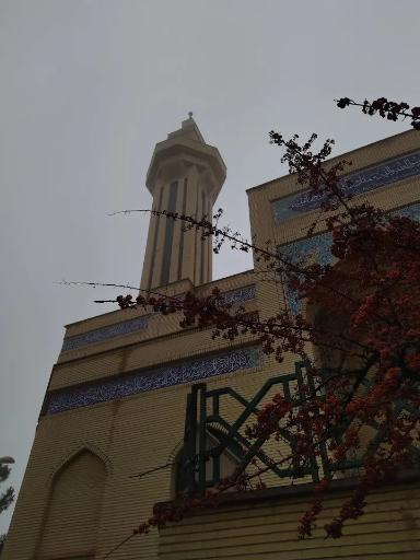 عکس دانشگاه صنعتی شاهرود