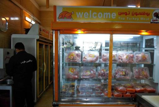 عکس بوقلمون توس