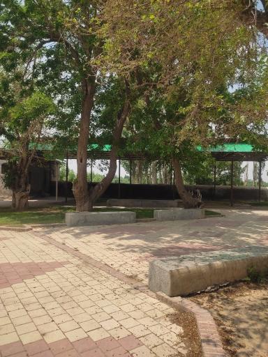 عکس امامزاده قاسم