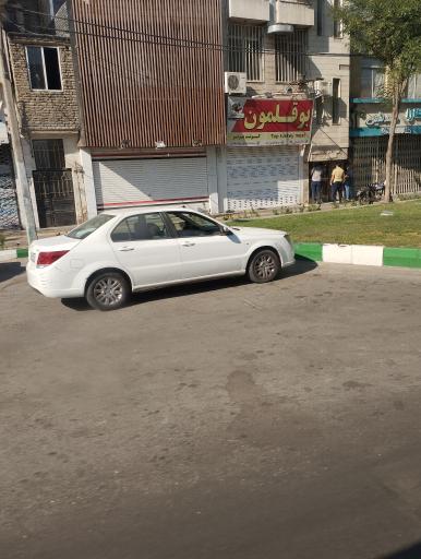 عکس بوقلمون توس