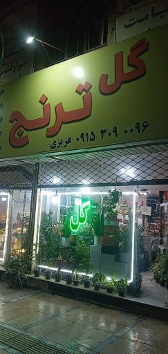 عکس گل ترنج