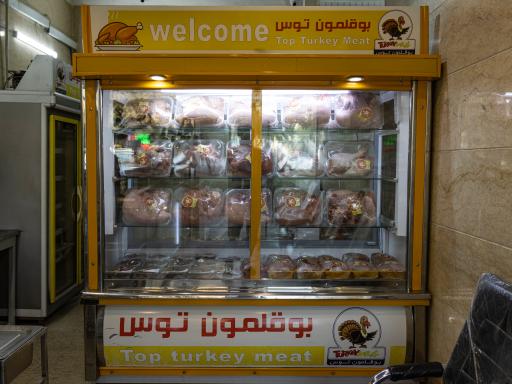 عکس بوقلمون توس