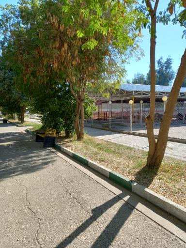 عکس پارک گلستان گتوند