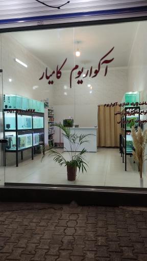 عکس آکواریوم کامیار 