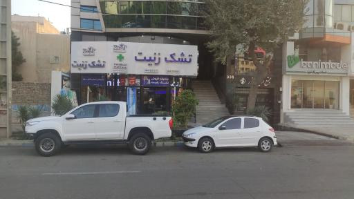 عکس تشک زنیت