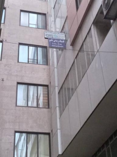 طنین سلامت البرز 