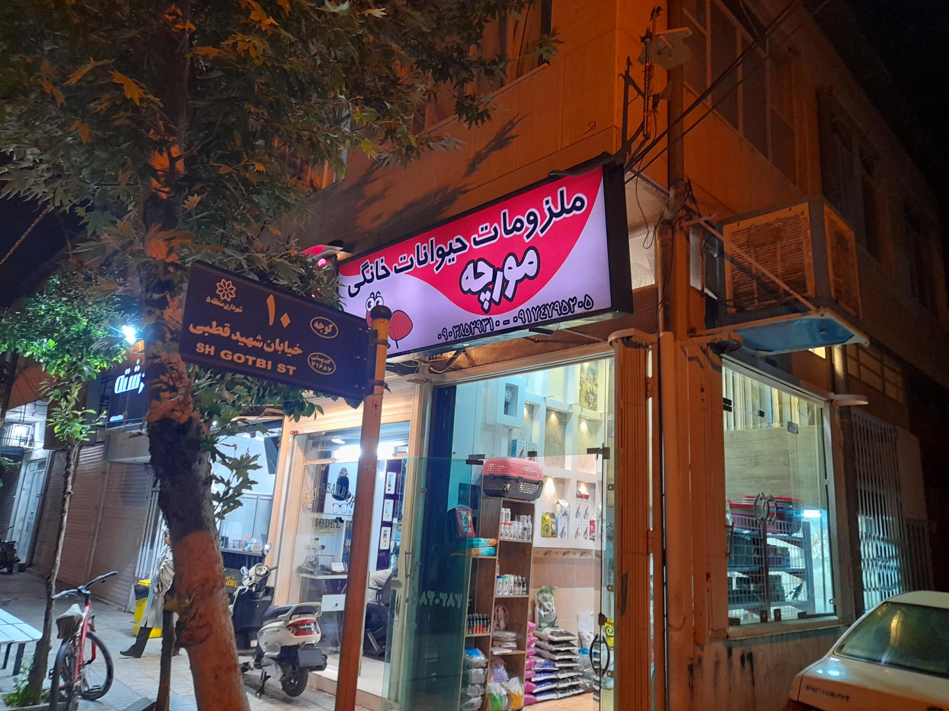 عکس پت شاپ مورچه