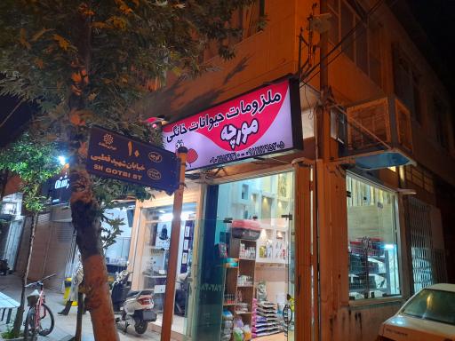 عکس پت شاپ مورچه