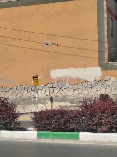 عکس امام رضا  4