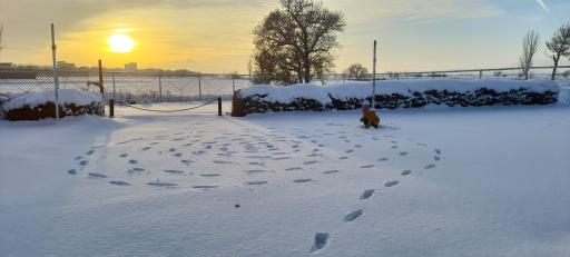 عکس بوستان سفال