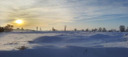 عکس بوستان سفال