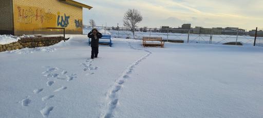 عکس بوستان سفال