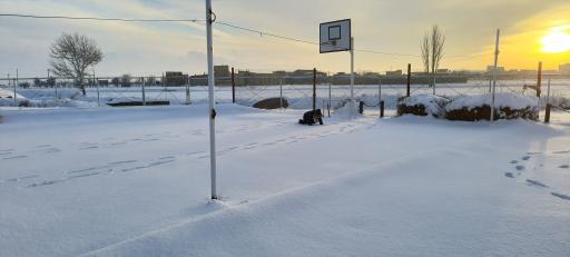 عکس بوستان سفال