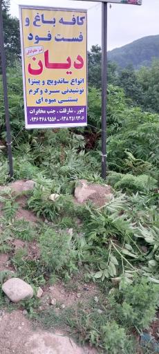 عکس کافه فست فود دیان