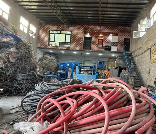 عکس مس آلان