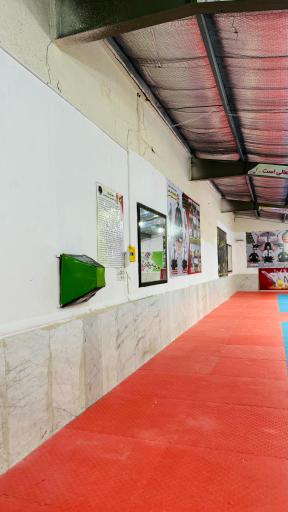 عکس خانه موی تای