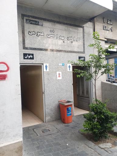 سرویس بهداشتی