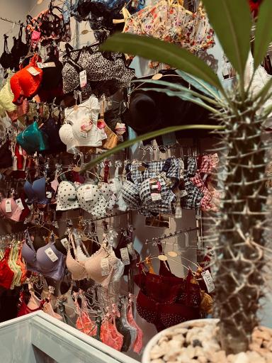 لباس زیر دکاموند