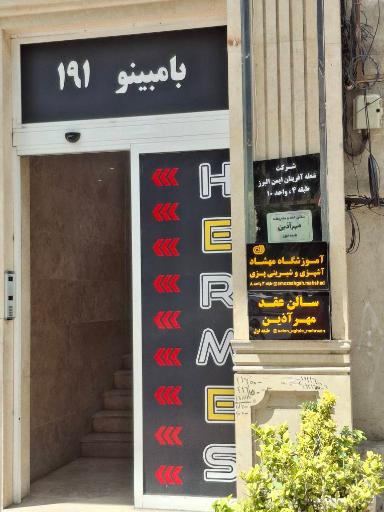 عکس بامبینو 
