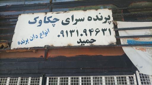 عکس پرنده فروشی چکاوک