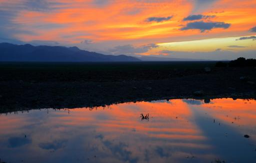 عکس دریاچه کافتر (شادکام)