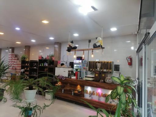 عکس قهوه بن سان