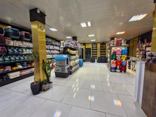 عکس پت شاپ دارکوب