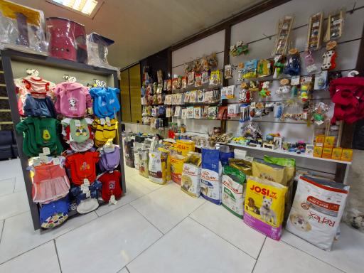 عکس پت شاپ دارکوب