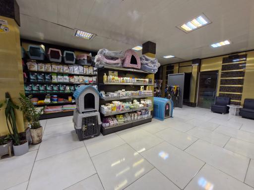 عکس پت شاپ دارکوب