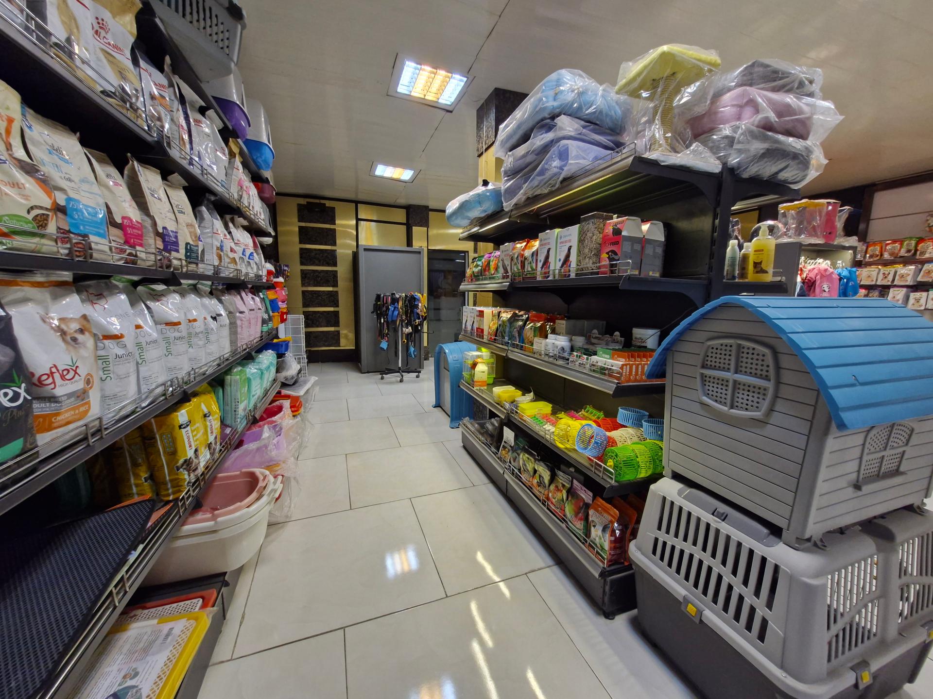 عکس پت شاپ دارکوب