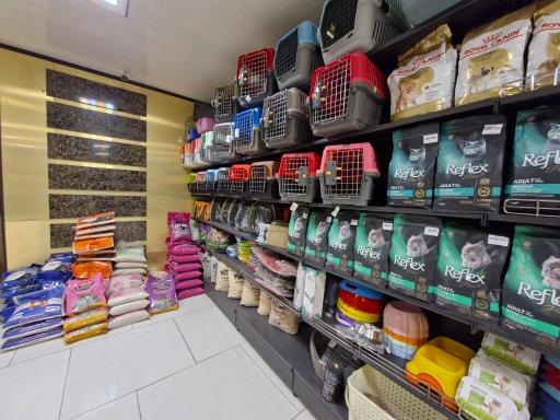 عکس پت شاپ دارکوب