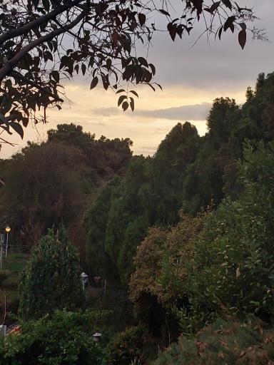 عکس باغ رستوران پردیس فراجا