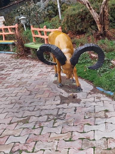 عکس باغ رستوران پردیس فراجا