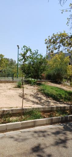 عکس بوستان یاس