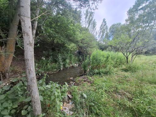 عکس سرعین