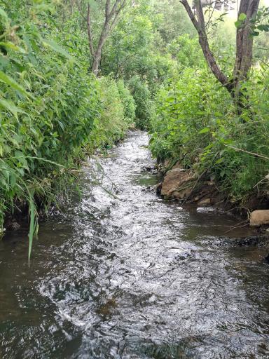 عکس سرعین