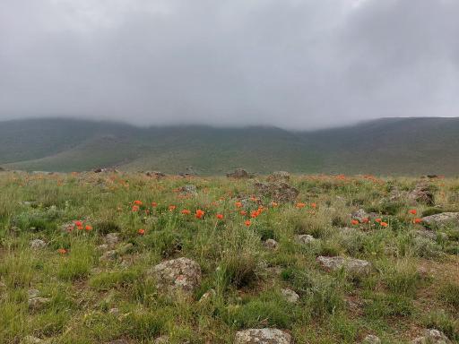 عکس سرعین